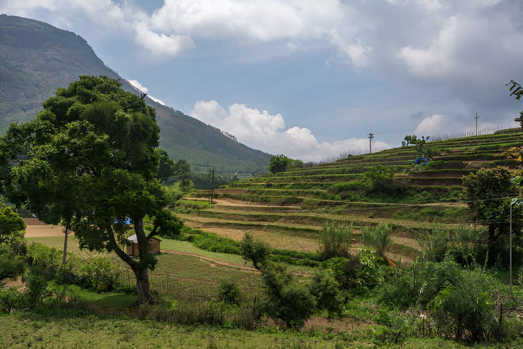 Exploring Idukki